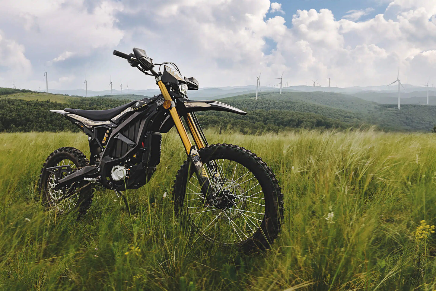 2025 Surron Ultra Bee (T)