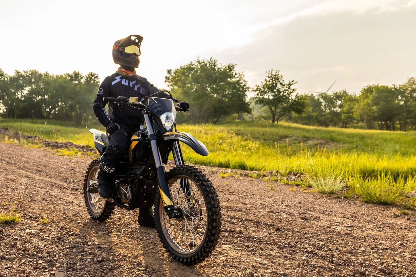 2025 Surron Ultra Bee (T)